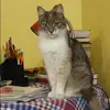Отзыв от Лидия Баженова